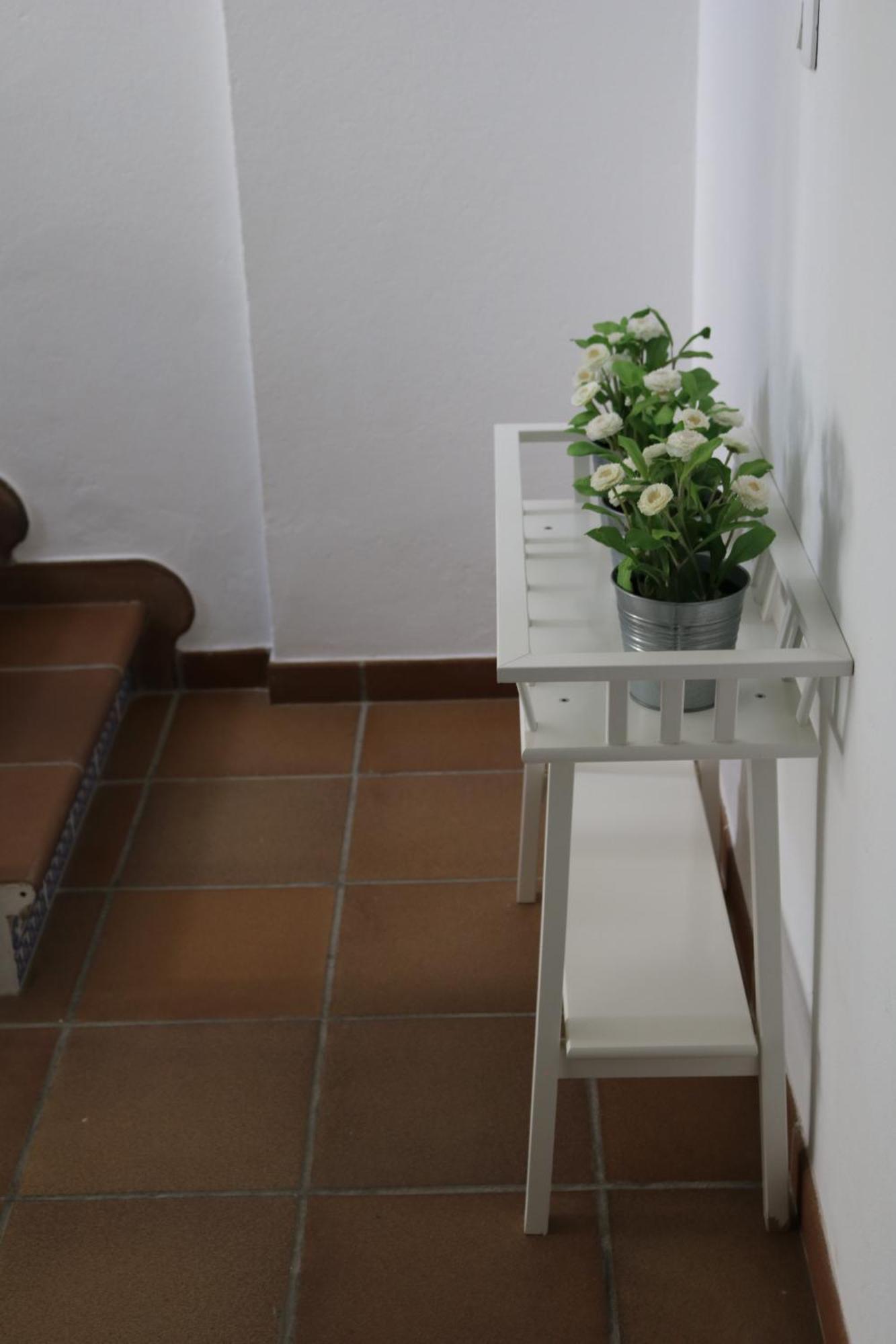 Los Balcones Del Molinero Vejer de la Frontera Exteriör bild